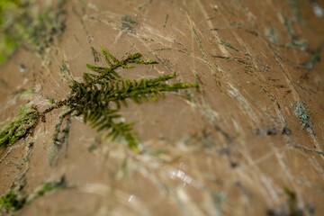 texture macro
