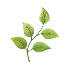 Realistic fresh green leaves branch illustration isolated on white background