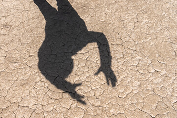 Silhouette of Muslim man standing while raised hands and praying with the desert scene background in Mesopotamia, Iraq