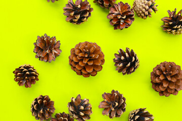 Pine cones on green background