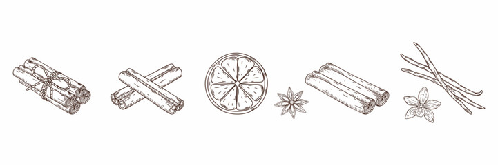 Hand-drawn sketch of various spices including cinnamon sticks, star anise, vanilla pods and flower, and an orange slice. Vector © DisignUA