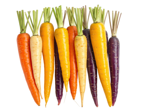 Colorful carrots, fresh greens, grouped closely