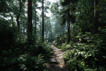 Fototapeta premium Serene Forest Pathway Through Lush Greenery