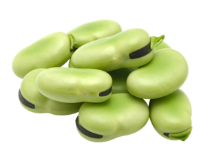 Pile of fresh, raw, green fava beans