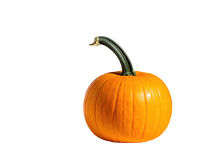 Orange pumpkin with curved green stem on black background