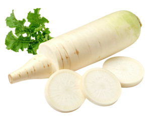 Daikon radish and slices with leafy green garnish