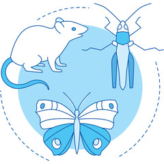 Illustration of a mouse butterfly and grasshopper in blue and white line art style on a circular light blue background suitable for educational or decorative purposes