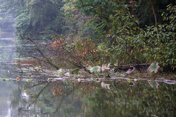 Longshui Lake Tourist Resort at Dazu area of Chongqing, China.