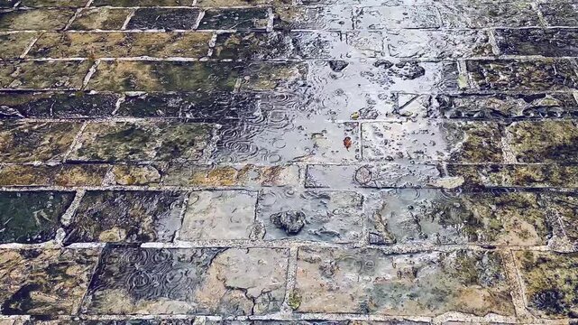 wet textured pavement punctuated by puddles. closeup of aged stone tiles with glossy sheen, moss filled joints, tiny ripples and scattered debris,