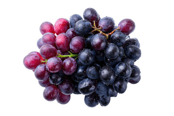 Fototapeta premium Shiny, fresh red and blue grapes clumped together on a stem