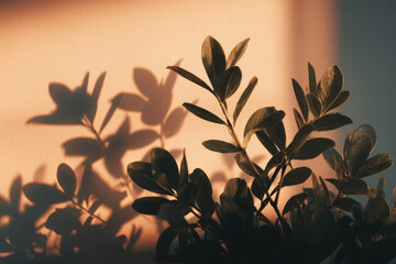 Soft morning sunlight casts gentle plant shadows on warm beige wall, creating peaceful and natural abstract pattern with cozy, tranquil atmosphere