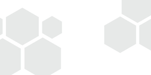 Geometric hexagonal photo frame collage presented in a horizontal 2:1 format