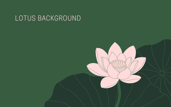 A beautifully rendered lotus flower on a rich green background signifies peace and tranquility. The minimalist design emphasizes serenity and natural beauty.