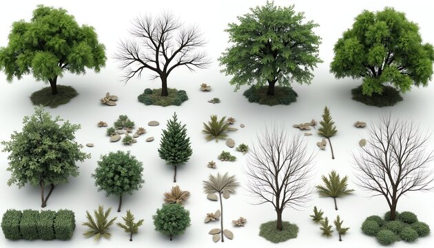 Digital collection of diverse trees, shrubs, bushes, ground plants. Includes green deciduous, evergreen, bare tree types for seasons. Use for landscape design, architectural plan, virtual nature