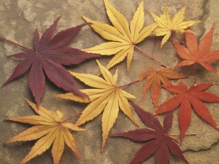 shrubbery. Autumn leaves arranged in a garden, showcasing seasonal patterns from a ground perspective with soft natural light. representing seasonal cycles and harvest abundance.