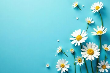Delicate chamomile daisies scattered on a vibrant blue backdrop , blue, macro