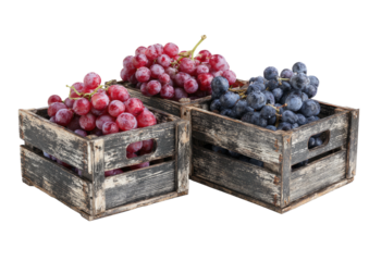 Grapes in wooden crates, red and black. Fruits abound