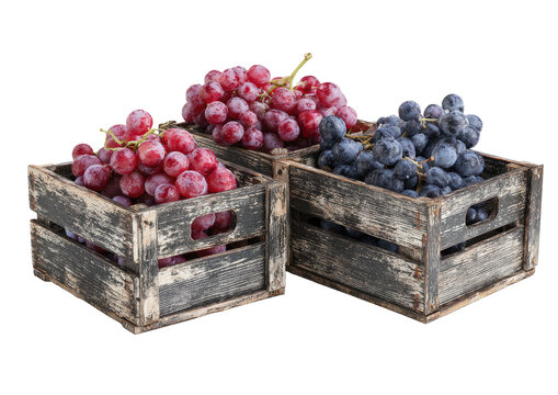 Grapes in wooden crates, red and black. Fruits abound