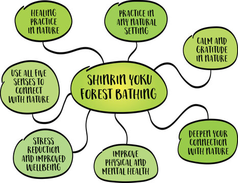 Japanese concept of shinrin yoku, forest bathing, the practice of immersing oneself in nature, mind map sketch