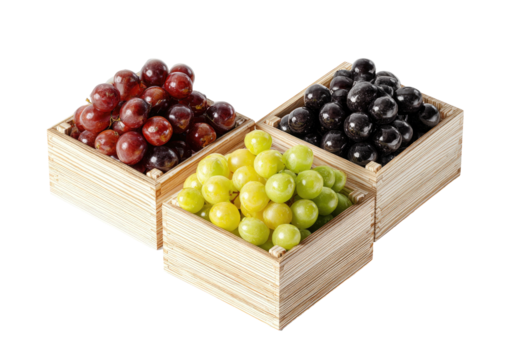 Grapes, red, green, black, in small wooden boxes