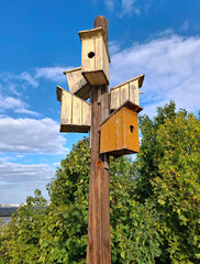 Five birdhouses are nailed to one pole, facing in different directions