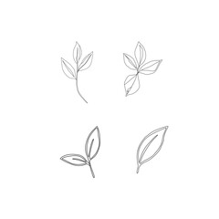 Green Tea Leaves Vector Illustration. Minimal Tea Leaf Botanical Design. Tea Sprout Leaves Outline Vector. Fresh Herbal Tea Leaves Collection. Green Tea Leaf Illustration