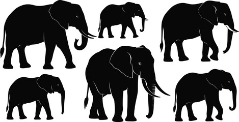 Elephant silhouette vector set, African wild animal collection, big mammal walking and standing, safari nature illustration isolated on white background, zoo graphics.