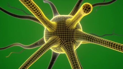 A 3D visualization of a yellow wireframe neuron, a nerve cell with extending dendrites on a green background. - Powered by Adobe
