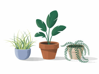 A vibrant illustration of three indoor plants, showcasing unique shapes and textures, presented in colorful pots that enhance any interior space beautifully and stylishly.