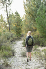 Obraz premium Green backpack and trekking pole resting on narrow sandy trail through pine trees