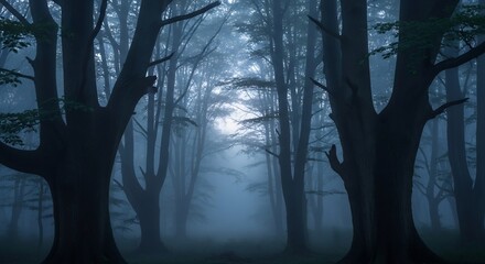 Obraz premium Eerie Forest Path - A Misty Journey Through the Woods.
