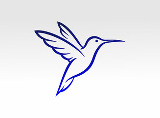 vector illustration of a bird