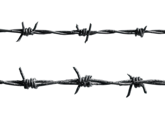 Two barbed wire strands, dark metal, sharp thorns, black