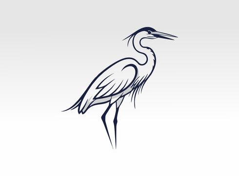 great blue heron vector