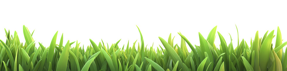 green grass isolated on white background