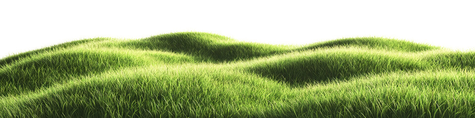 Transparent long grass decor, grass mountain, grass silhouette, realistic grass, outdoor eco grass