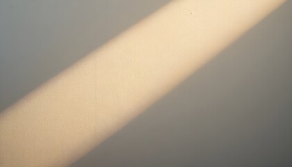 Soft golden light falling across a neutral textured wall