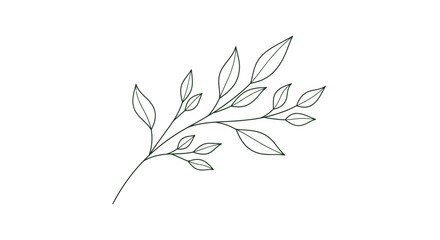 Fototapeta premium Minimalist line art illustration of a delicate leafy branch, perfect for botanical designs and natural themes.