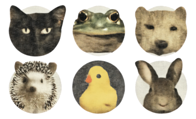 Unique Collection of Animal Faces on Round Illustrations with Isolated Background