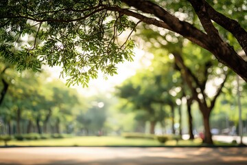Lush Green Park Landscape with Sunlight and Trees