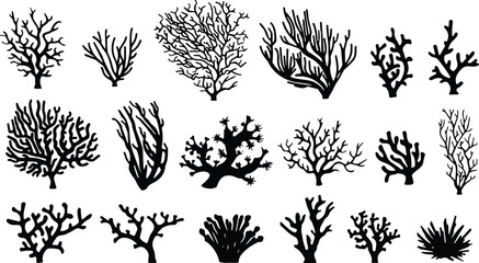 Collection of coral silhouette illustrations featuring diverse underwater marine shapes, ocean botanical elements, sea plant designs, and natural reef graphics for creative projects