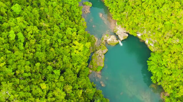 The river in the rainforest among the green lush vegetation. Loboc River view from the top. Bohol, Philippines.