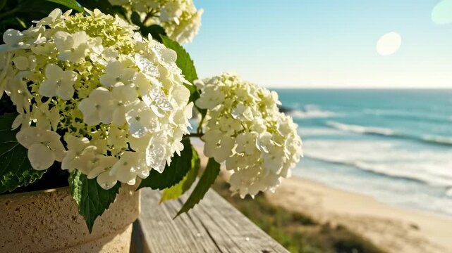 white hydrangea flowers - A serene coastal view featuring a pot of white hydrangeas in the foreground, with rolling waves and a bright blue sky in the background