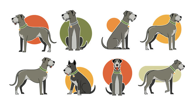 Irish wolfhound poses with colored circles