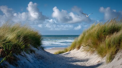 Scenic north sea coastal landscape with sandy dunes, gentle waves, and a seagull soaring over the beach under a cloudy sky