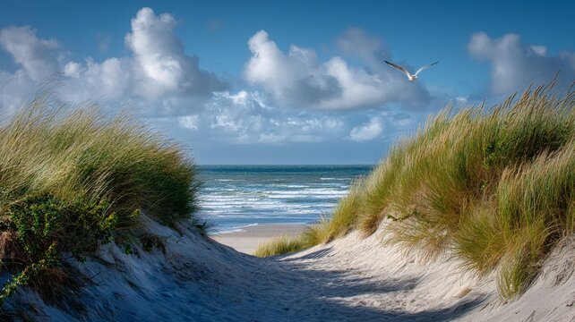 Scenic north sea coastal landscape with sandy dunes, gentle waves, and a seagull soaring over the beach under a cloudy sky