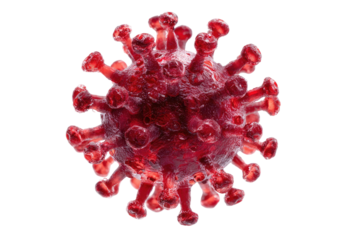 Red, spiky, textured virus rendering on a black background
