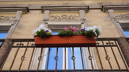 Colorful flowers in a planter box attached to a balcony railing of an old decorative building. Urban floral decor suitable for themes of architecture, gardening, city lifestyle, and outdoor aesthetics