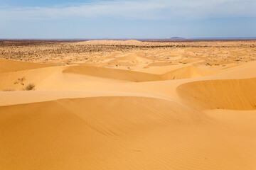 View of sand dunes in the Sonora Desert in Mexico.
US border is visible in the background