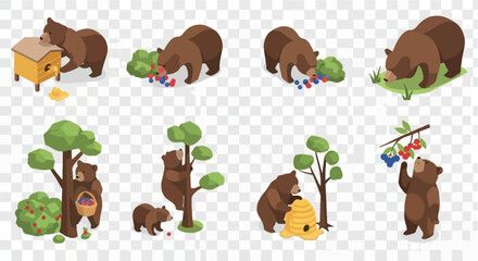 Fototapeta premium Bears foraging for food in nature with transparent background